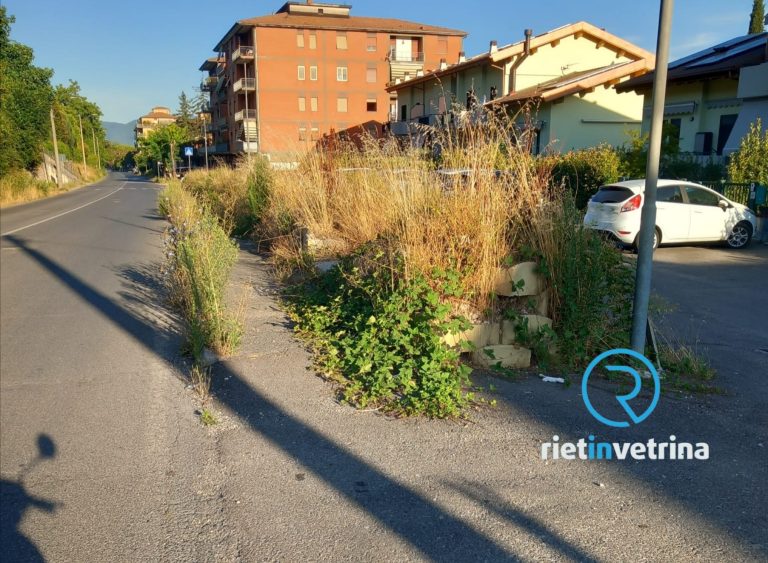 SEI TU IL REPORTER – “Esempio di marciapiede in via Salaria per L’Aquila. Nessuno provvede a tagliare l’erba”
