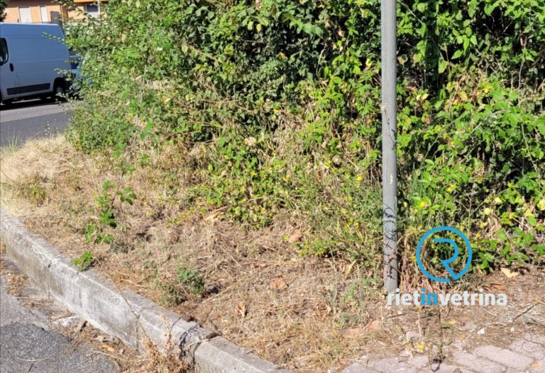 SEI TU IL REPORTER – “In via Cellini marciapiedi inglobati dell’erba”
