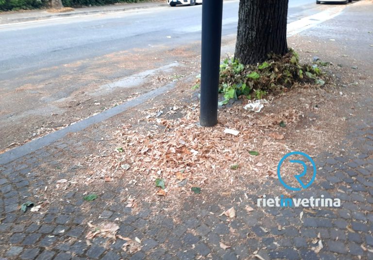 Dopo la segnalazione su Rietinvetrina pulito viale Liberato Di Benedetto, ma…