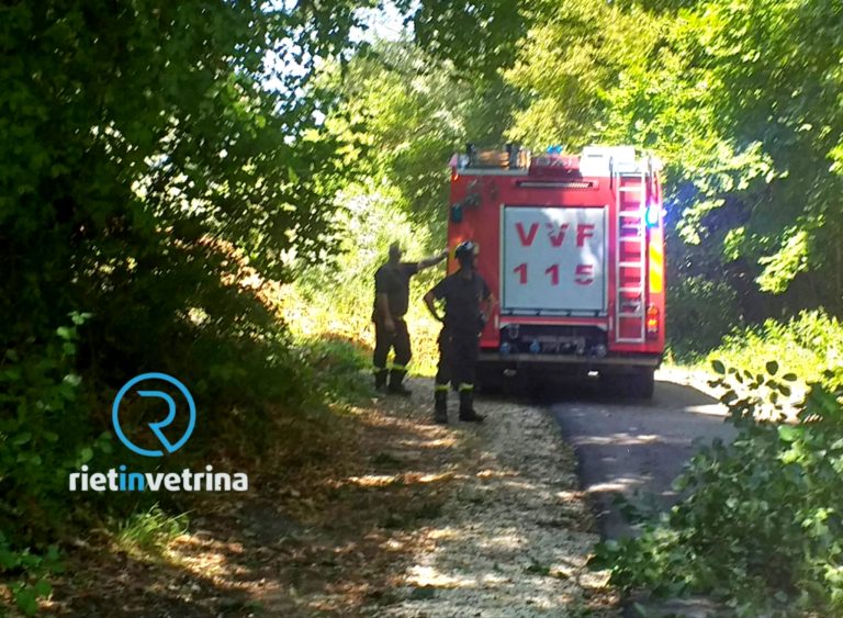 Coda del nubifragio, via Acquamartina occupata dagli alberi caduti nella notte