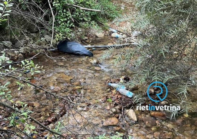Scoperti rifiuti gettati nel fiume zona Canera