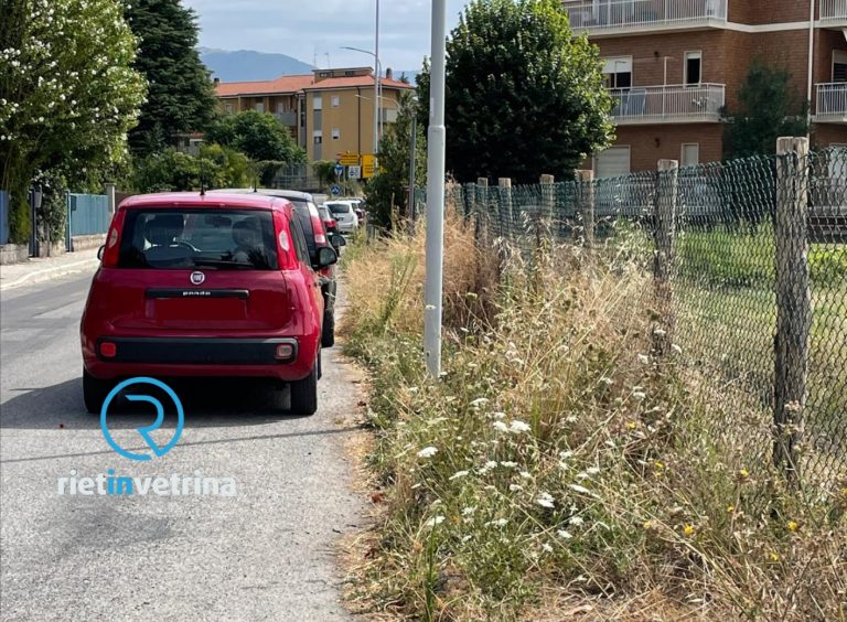 SEI TU IL REPORTER – “In via Costanzi nessuno interviene per tagliare l’erba. Una via dimenticata”
