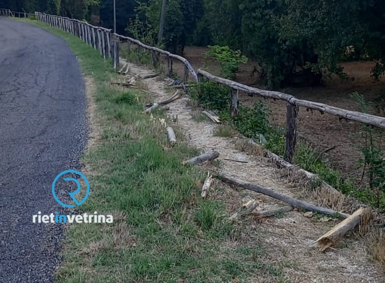 SEI TU IL REPORTER – “In via Foresta sporcizia, palizzate divelte e soprattutto una frana che da anni restringe la carreggiata”