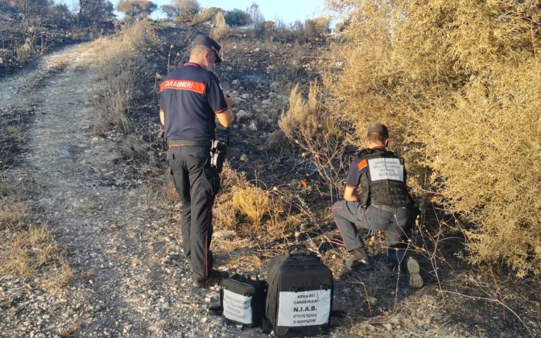 Massima allerta incendi boschivi, Carabinieri Forestale in campo per prevenire e contrastare