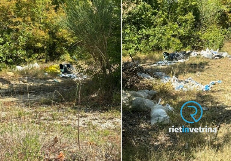 SEI TU IL REPORTER – Sandra: “Sulla SP30 è riniziato l’abbandono indiscriminato di rifiuti. Nuova discarica abusiva”