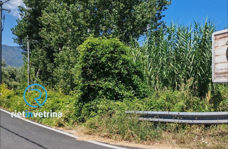 SEI TU IL REPORTER – Agostino: “Ponte Carpegna, incrocio con via Capannelle. Non si vede più l’incrocio”