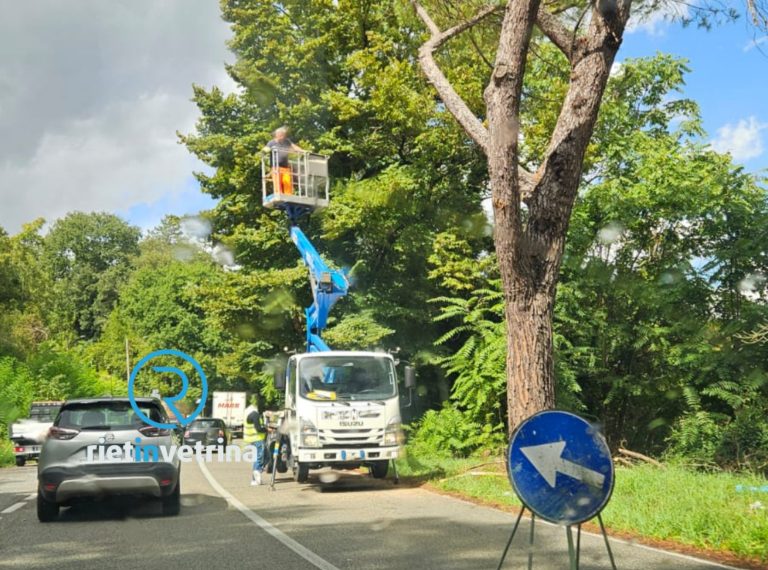 Lavori di potatura sulla Salto Cicolana, traffico a singhiozzo direzione Porta d’Arce