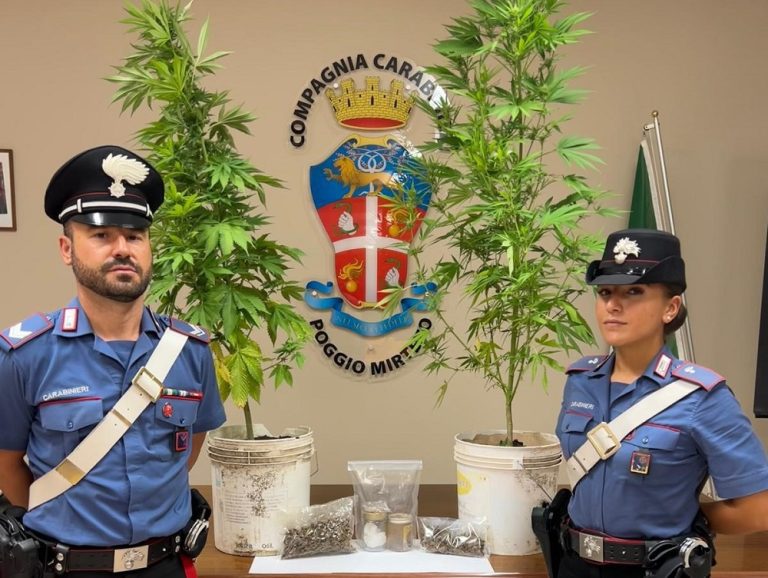 Coltivava marijuana in casa. Arrestato un uomo per detenzione e spaccio di droga