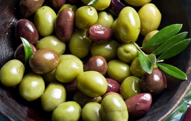 Iniziata la “Stagione delle selezioni regionali” dell’Ercole Olivario