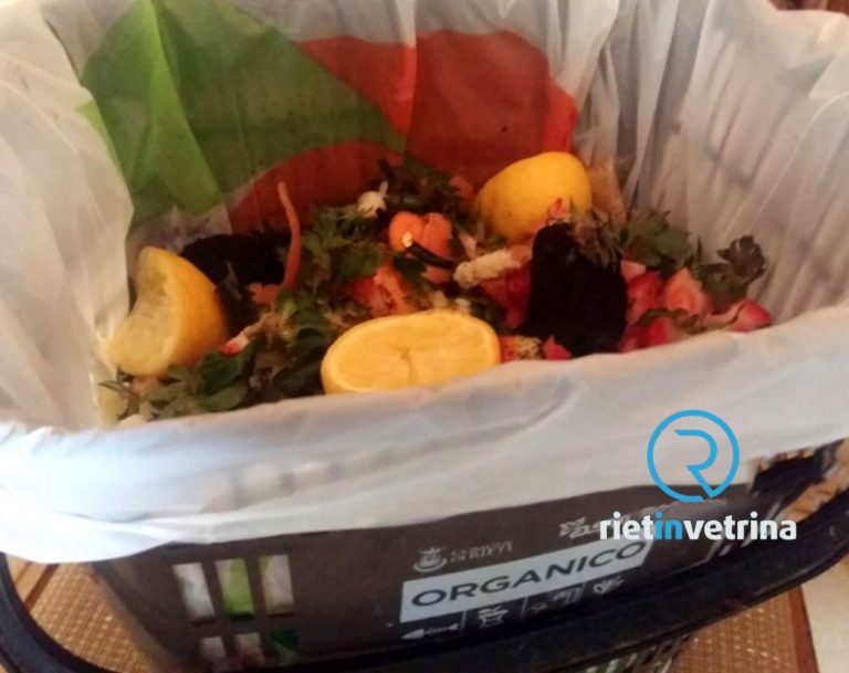 SEI TU IL REPORTER – “Perché gli operatori ASM non raccolgono l’umido fuori dai contenitori marroni? Gatti e topi fanno festa”