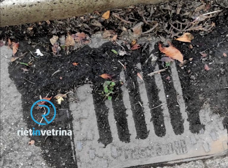 SEI TU IL REPORTER – “In via Carlo Sforza caditoie tutte occluse!”
