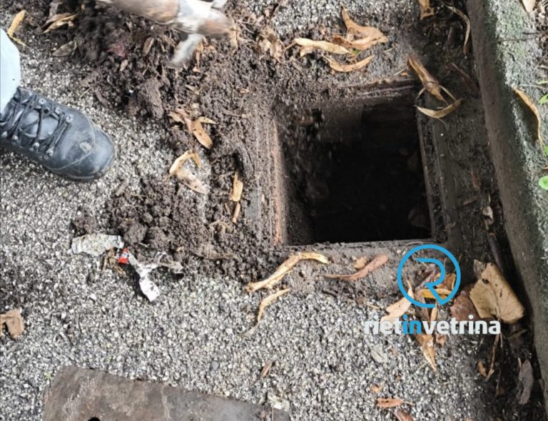 Pulite le caditoie di viale Morroni e via Ricci. Tante le segnalazioni giunte in redazione