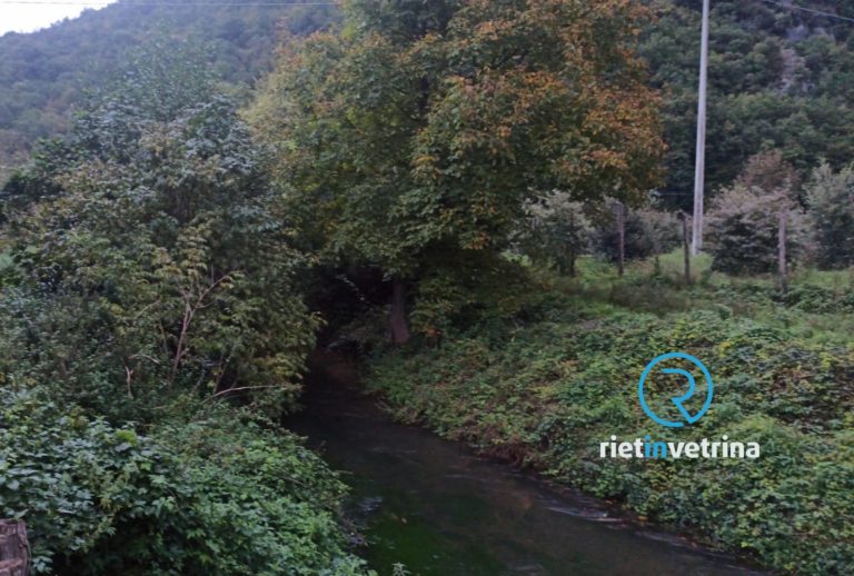 SEI TU IL REPORTER – “Nessuno bonifica l’argine del Fiume Salto zona Casette?”
