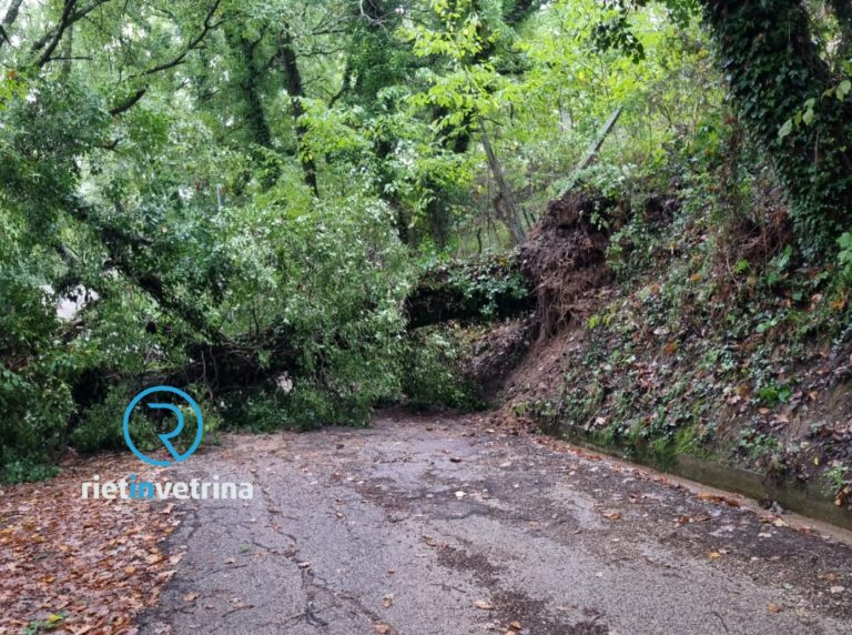 Caduto un albero in via Valle d’Aosta a Rieti. Strada bloccata