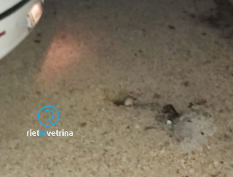 SEI TU IL REPORTER – Sonia: “In via Cicchetti e parallela ci sono due buche davvero profonde”