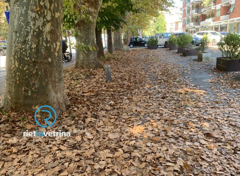 SEI TU IL REPORTER – “ASM quando toglierà le foglie in viale Maraini? Stanno occludendo le caditoie già problematiche”