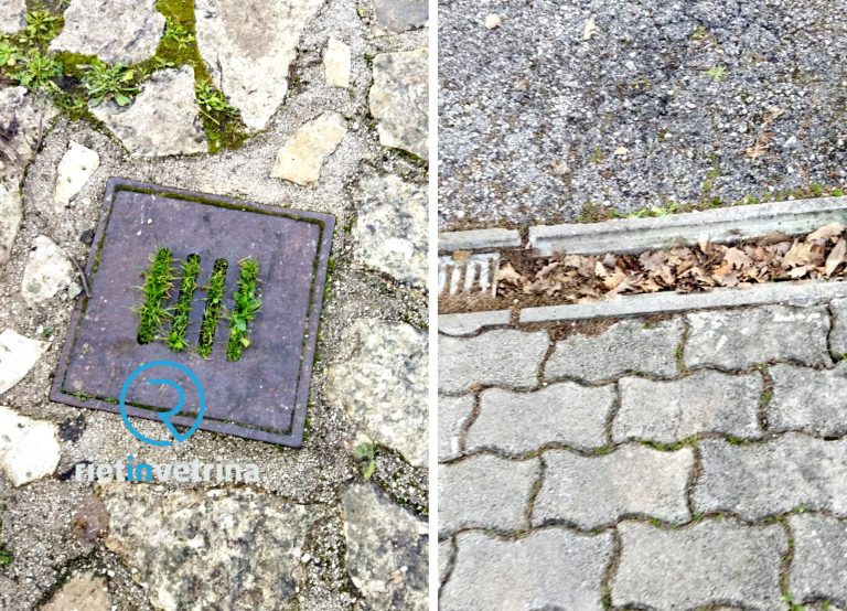 SEI TU IL REPORTER – “Assessore Nobili ci aiuti, intervenga nel cimitero di Sant’Elia Alto”