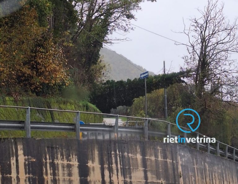 Caduto albero a Collerinaldo. Strada interrotta