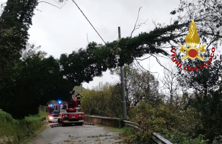 Maltempo, oltre 40 gli interventi nel Reatino dei Vigili del Fuoco
