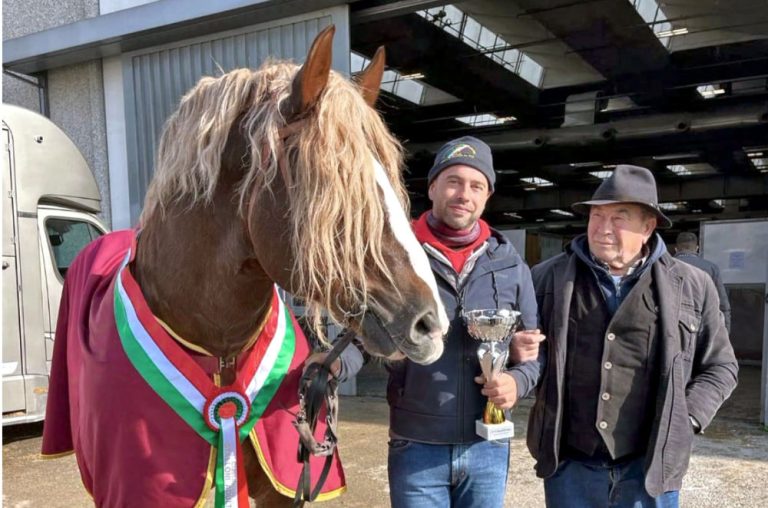 Amatrice a cavallo alla Fieracavalli 2024 di Verona
