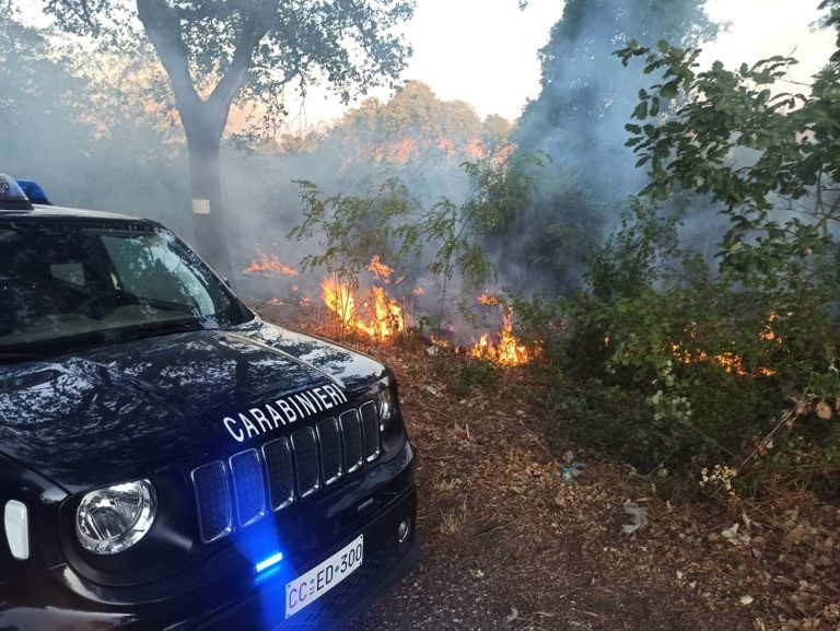 Lotta agli incendi boschivi, bilancio dei Carabinieri Forestale del Reatino