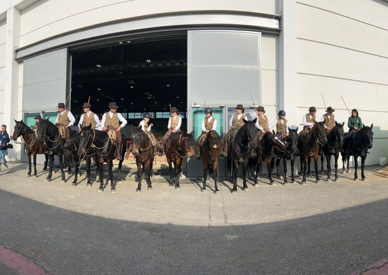L’Associazione Cavalieri e Allevatori del Cavallo Tolfetano di Cottanello protagonista a Verona
