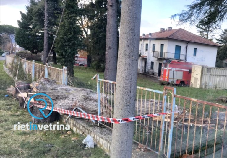 Vento sradica e abbatte un albero nella Caserma Carabinieri Forestali di Vazia