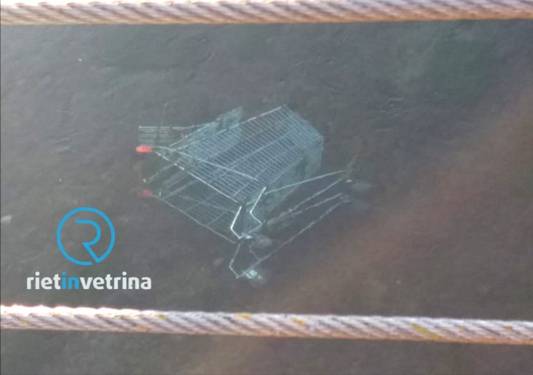 Carrello della spesa gettato nel Velino