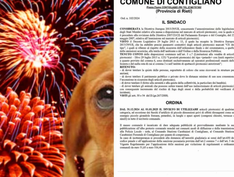 Il Comune di Contigliano vieta i botti di Capodanno