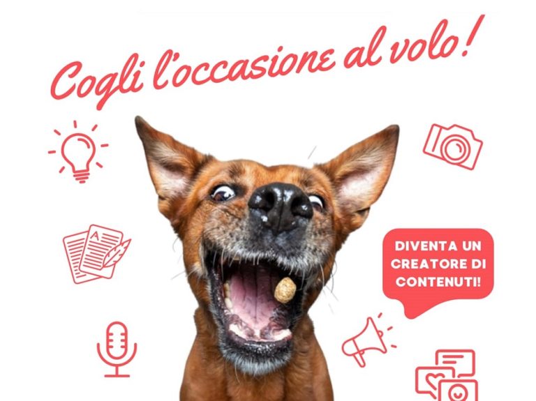 Prende forma il progetto “Spazio Futuro Alta Sabina”: da gennaio 2025 tanti laboratori gratuiti