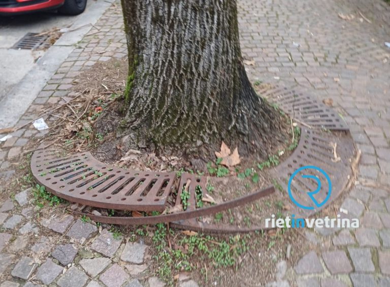 SEI TU IL REPORTER – “Le grate attorno agli alberi in viale Di Benedetto ormai sono spuntoni in ferro arrugginiti”