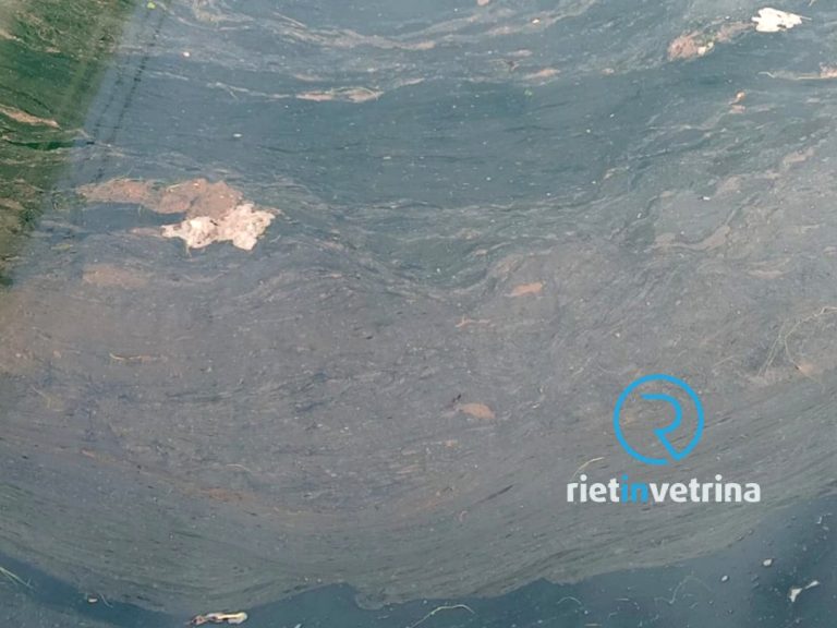 SEI TU IL REPORTER – “Chiazze di olio nel Velino. Cosa succede?”