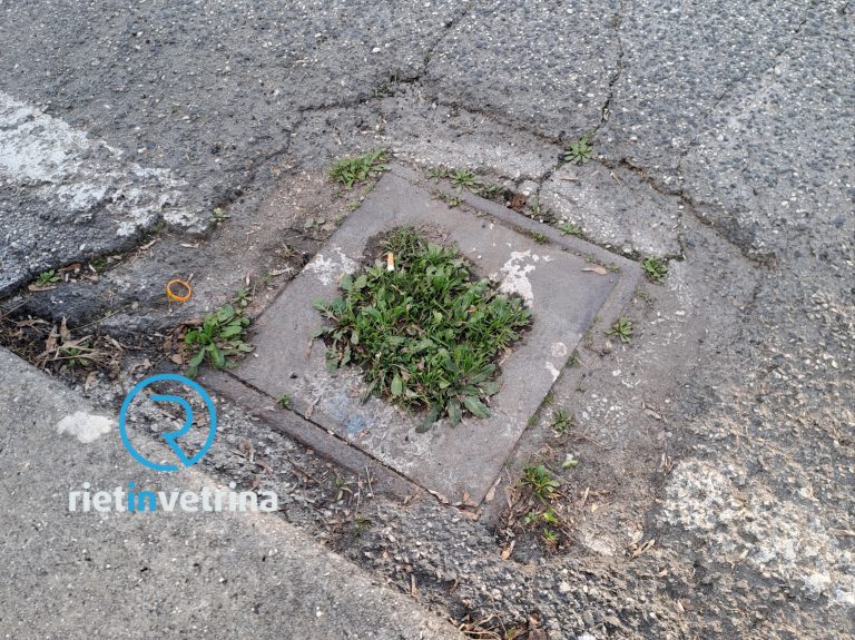 SEI TU IL REPORTER – “ASM intervenga. Caditoie occluse in viale de Juliis”