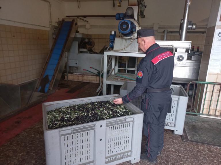 Controllo dei Carabinieri Forestale dei frantoi sabini e smaltimento delle acque di vegetazione