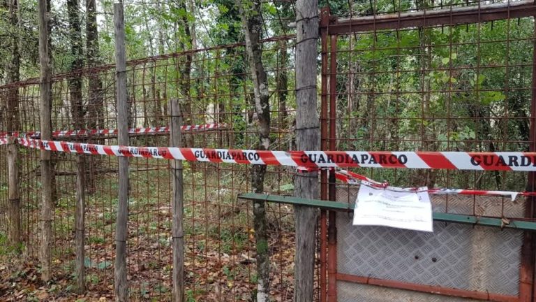 Orvinio, smantellata una gabbia illegale per la cattura degli animali selvatici