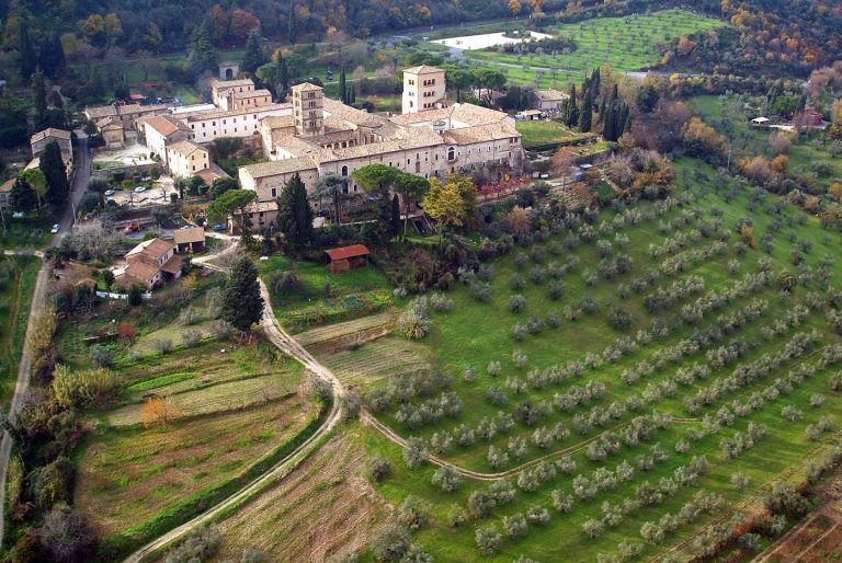 A Genova si parla del paesaggio storico dell’olivo della Sabina