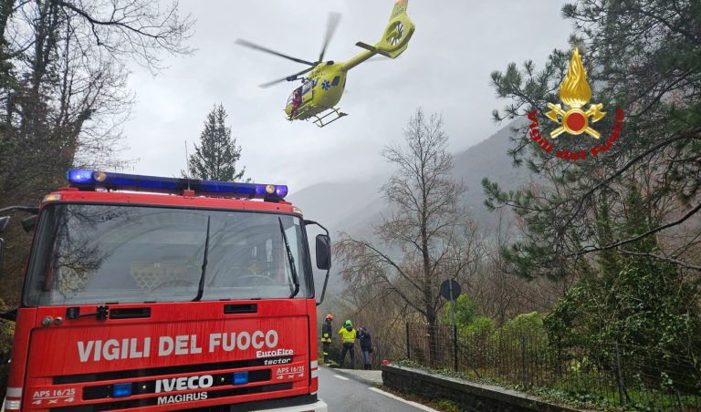 Frontale autoarticolati, un camionista è rimasto ferito ad un arto