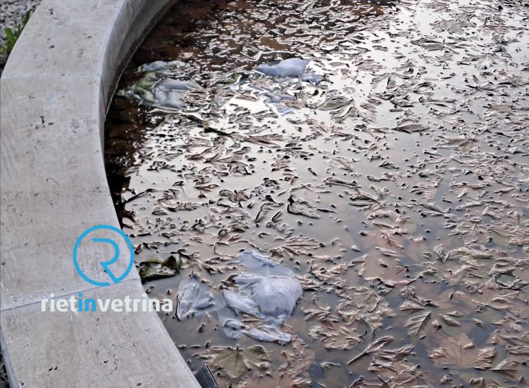 SEI TU IL REPORTER – “Pulite la fontana rotatoria di piazza Marconi. E’ piena di plastica