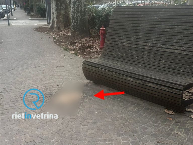 SEI TU IL REPORTER – “Nella passeggiata di viale Maraini da quattro giorni c’è del vomito che nessuno pulisce!”