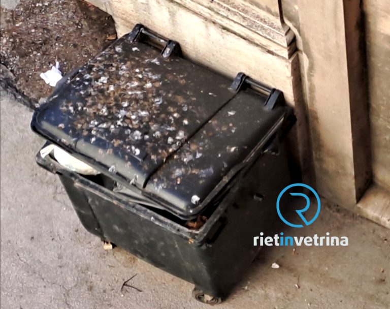SEI TU IL REPORTER – Emanuele: “Questo il cassonetto dei rifiuti che abbiamo in via Garibaldi. Ricoperto da guano e inutilizzabile!”