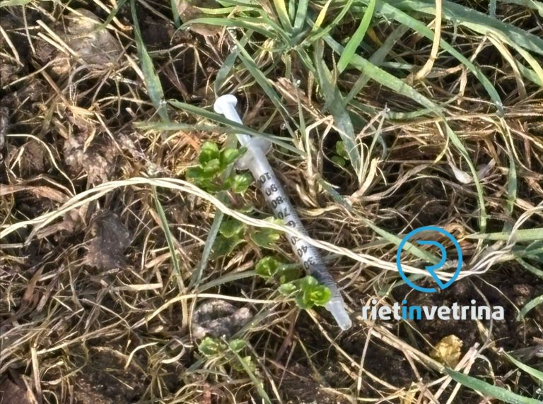 SEI TU IL REPORTER – “Fate attenzione! All’ingresso del Parco di via Liberato di Benedetto ci sono diverse siringhe”