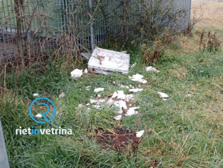 Vandali distruggono la colonia felina di Vazia zona Industriale: rabbia della volontaria che se ne prende cura