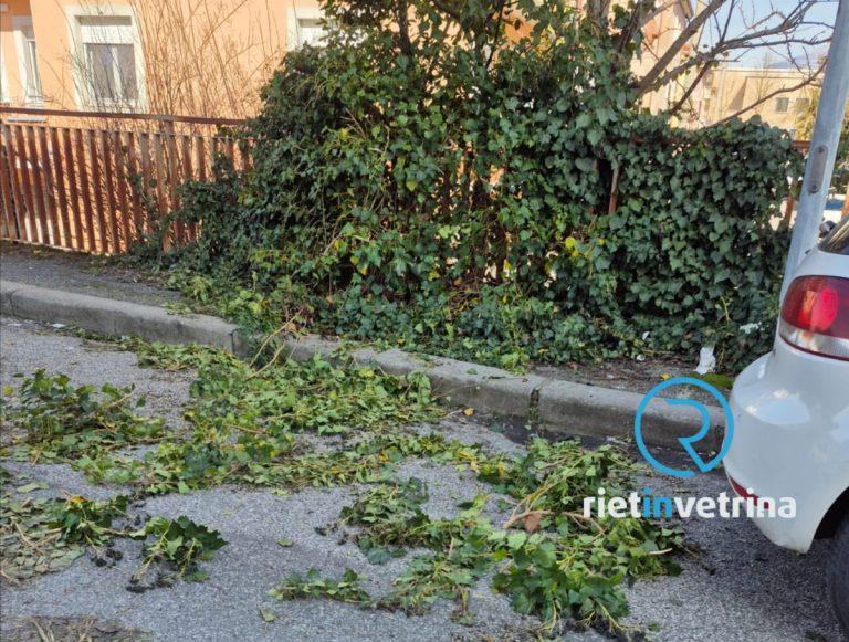 SEI TU IL REPORTER – “Il marciapiede di via Raccuini ‘disboscato’ da qualche cittadino di buon cuore!”