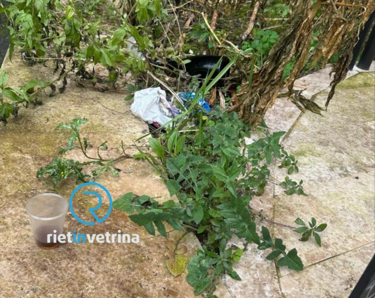 SEI TU IL REPORTER – “Benissimo il via all’Anno Accademico a Rieti, ma diamo un contegno ai luoghi attorno la nostra Università”