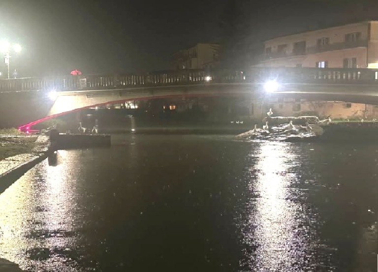 Il Lions Club Rieti Varrone sostiene i Giochi Mondiali Invernali Special Olympics e colora di rosso Ponte Romano