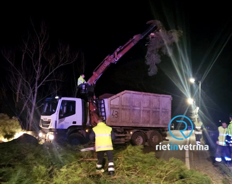 Lavori su Ponte Cavallotti per un albero pericolante
