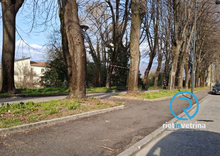 Divieto di sosta in viale Morroni per potatura alberi