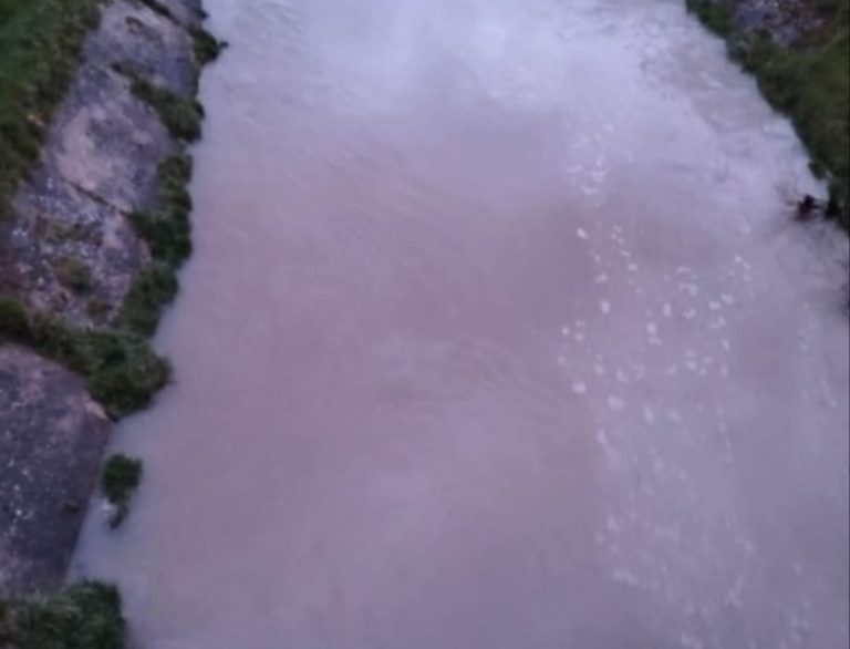 Le acque del canale della Centrale Idroelettrica di Cotilia diventate viola e schiumose. Intervengono European Consumers e i Carabinieri Forestali