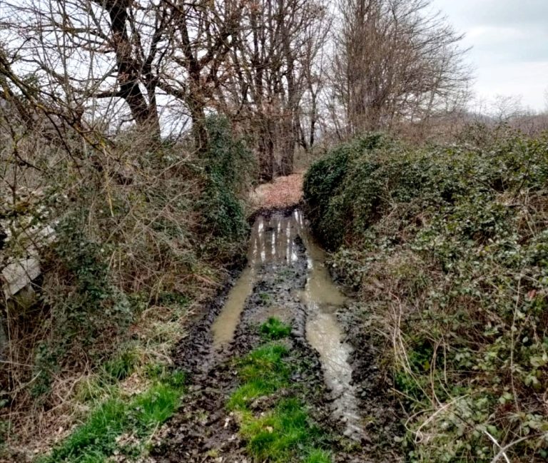 Depuratore di Oiano, Bianchini e Di Leginio:  Abbiamo abbattuto l’immobilismo. Intervenute ASL ed APS”