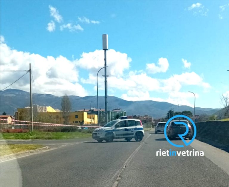 Viale Morroni interdetta al traffico da via Togliatti per potatura alberi